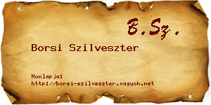 Borsi Szilveszter névjegykártya